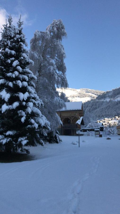 Apartmán La Montagne « Un Coin D'Oxygene » Châtel Exteriér fotografie